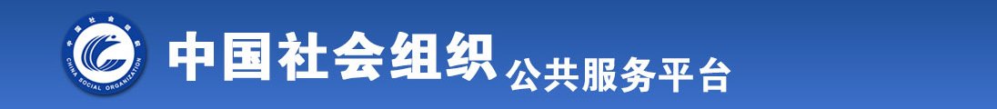 插入久久一区二区深夜欧美全国社会组织信息查询